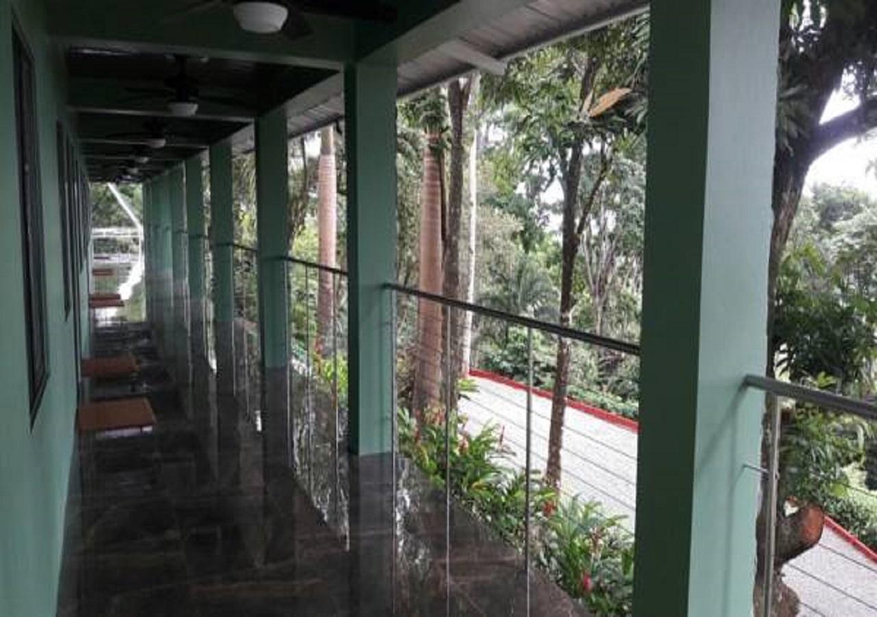 Hotel Casa Conley Del Mar Puerto Viejo de Talamanca エクステリア 写真