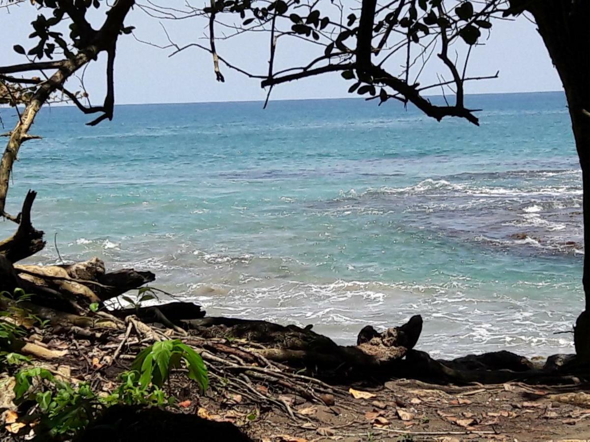 Hotel Casa Conley Del Mar Puerto Viejo de Talamanca エクステリア 写真