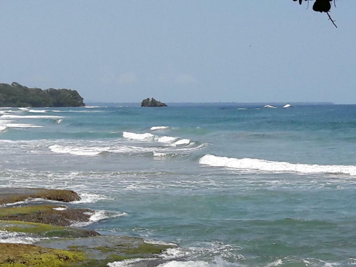 Hotel Casa Conley Del Mar Puerto Viejo de Talamanca エクステリア 写真