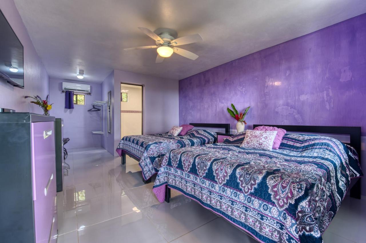 Hotel Casa Conley Del Mar Puerto Viejo de Talamanca エクステリア 写真