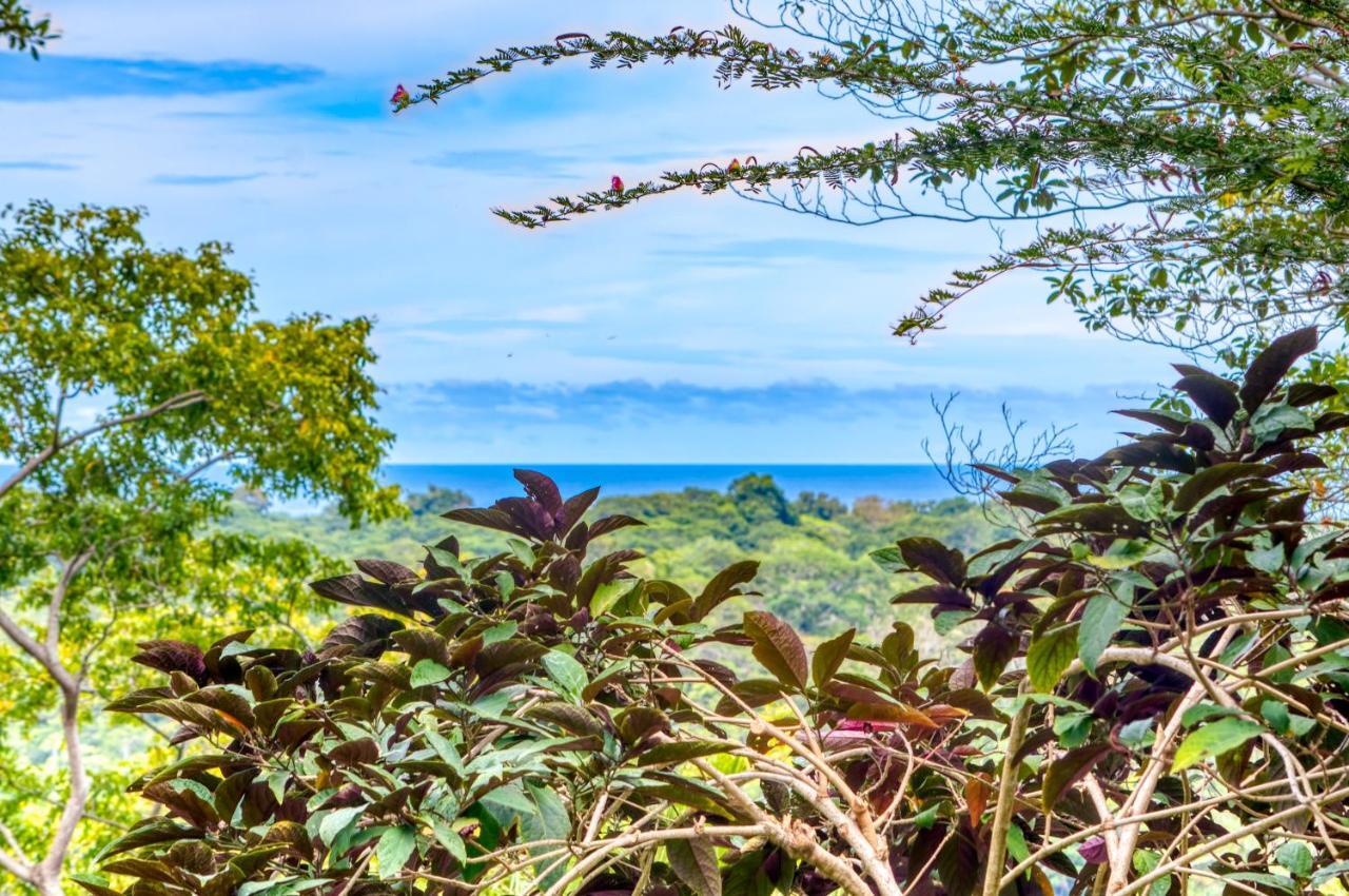 Hotel Casa Conley Del Mar Puerto Viejo de Talamanca エクステリア 写真