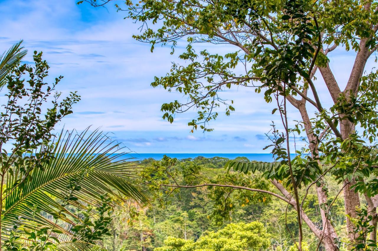 Hotel Casa Conley Del Mar Puerto Viejo de Talamanca エクステリア 写真