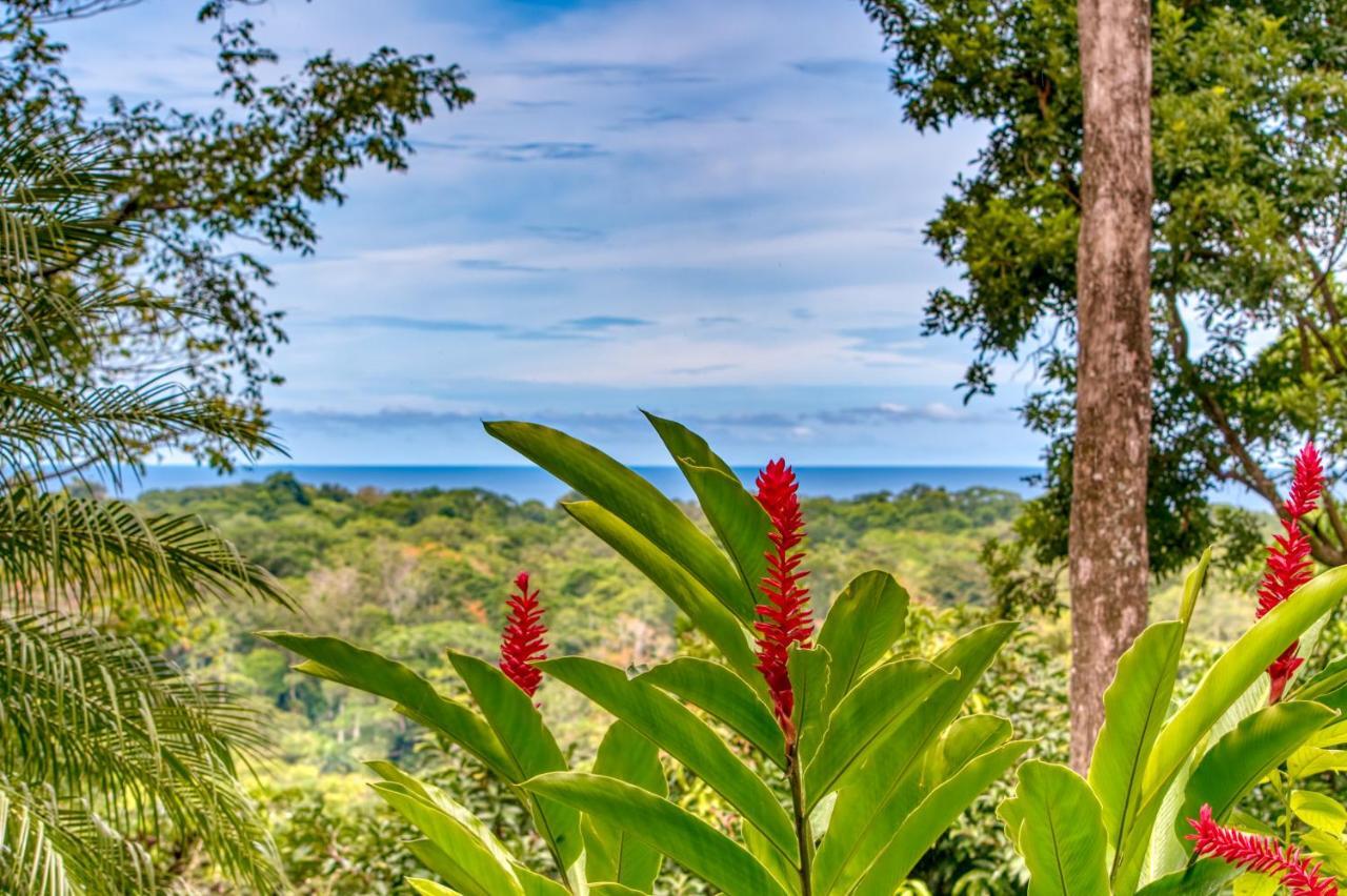 Hotel Casa Conley Del Mar Puerto Viejo de Talamanca エクステリア 写真
