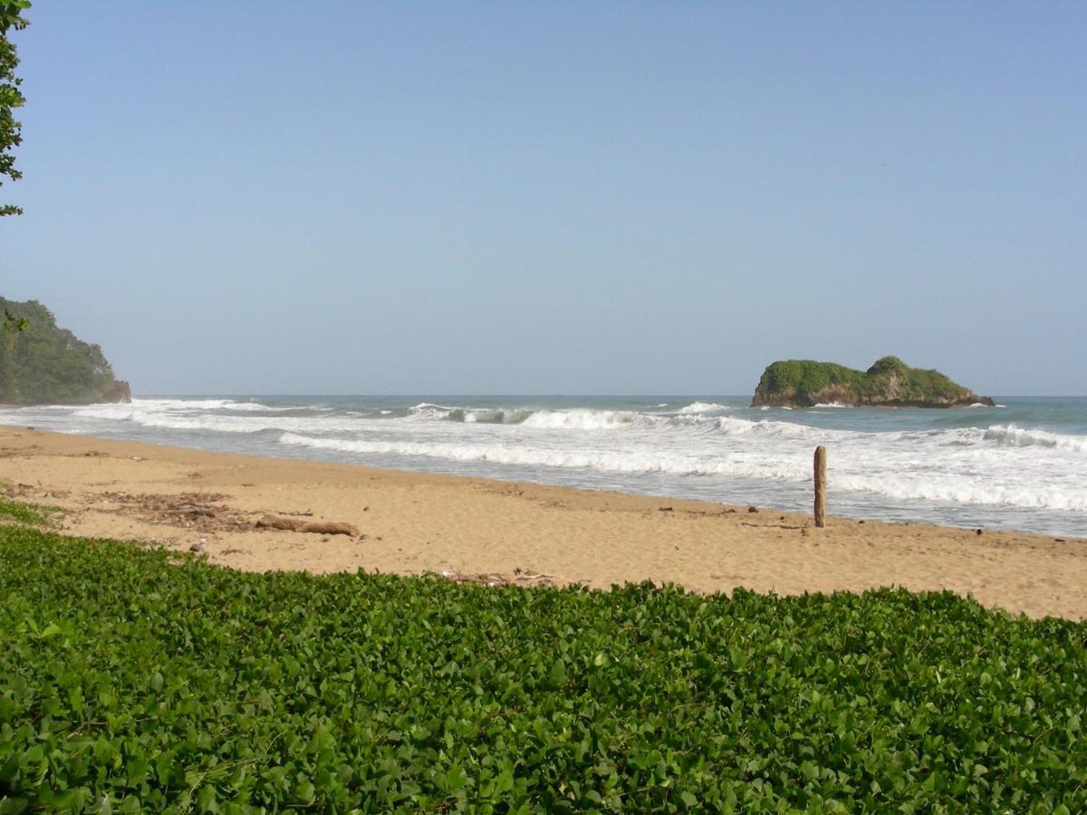 Hotel Casa Conley Del Mar Puerto Viejo de Talamanca エクステリア 写真